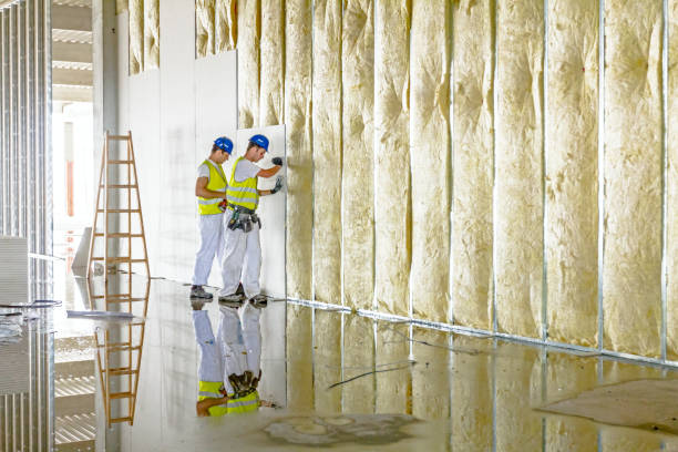 Best Basement Insulation  in Underwood Petersville, AL